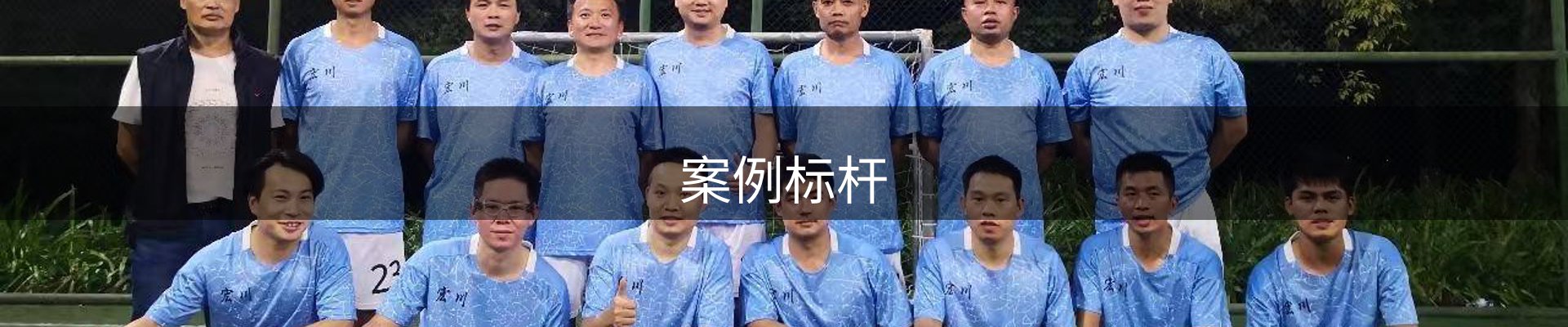 案例标杆